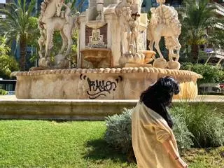 Vandalismo en Luceros