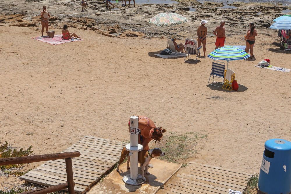 Los bañistas aseguran que no están en contra de la medida pero reclaman que se zonifique la playa para usuarios con perros y sin perros