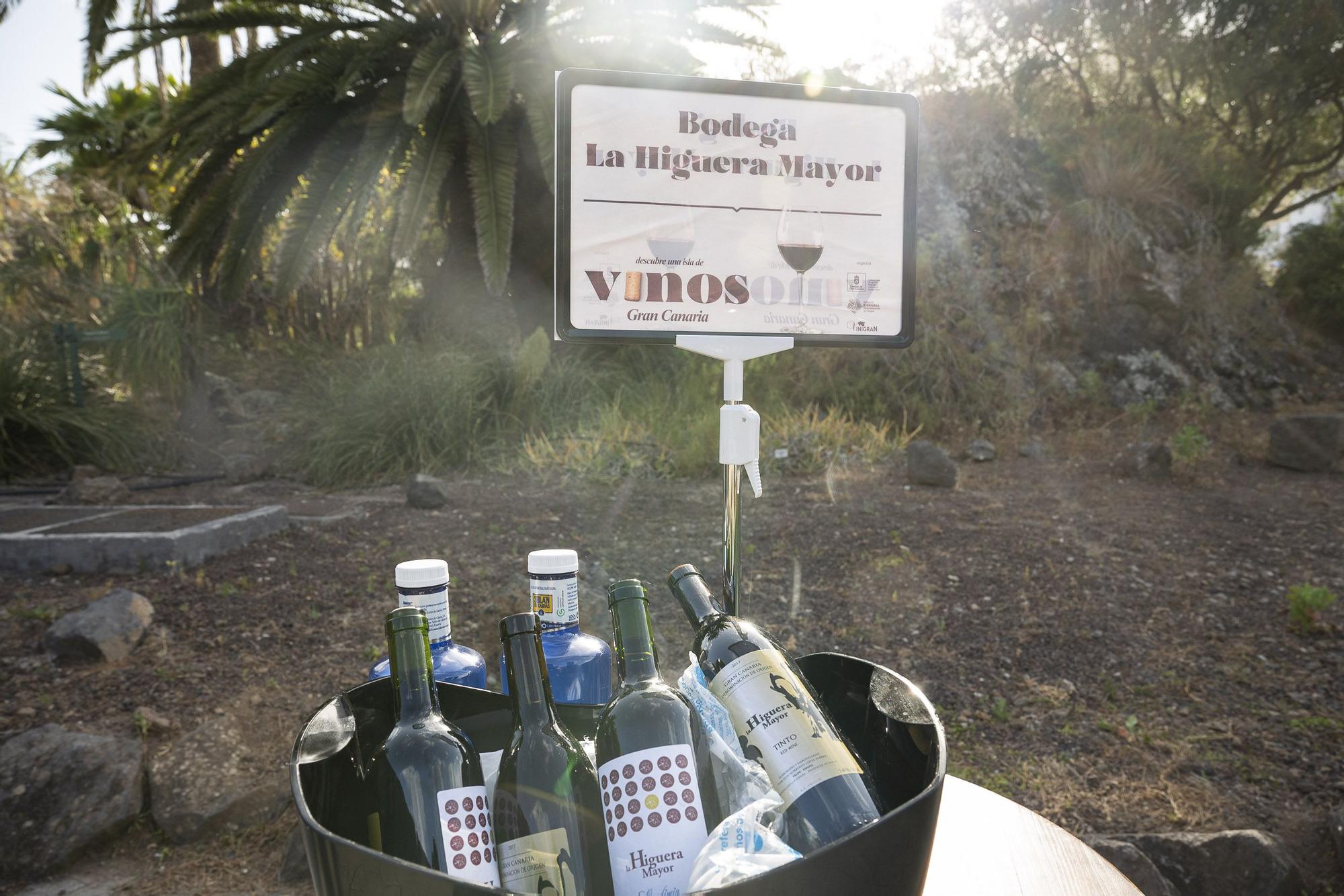 Presentación de la Cosecha de Vinos de Gran Canaria 2022