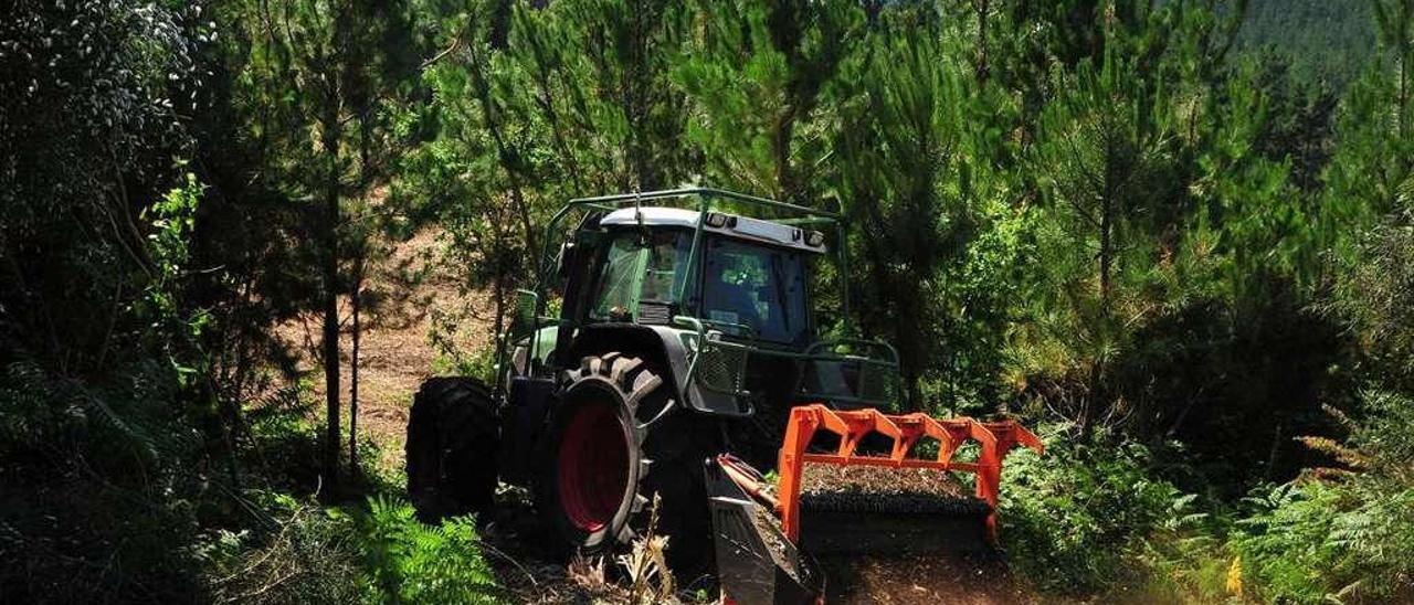 Un tractor realiza tareas de limpieza en un monte comunal de Vilanova de Arousa. // Iñaki Abella