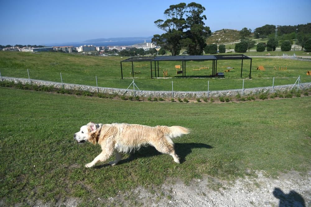 La zona canina abrirá a mediados del mes de julio, con medio año de retraso sobre la fecha inicial - Tendrá una extensión similar al campo de fútbol de Riazor, con zonas de lavado y juegos.