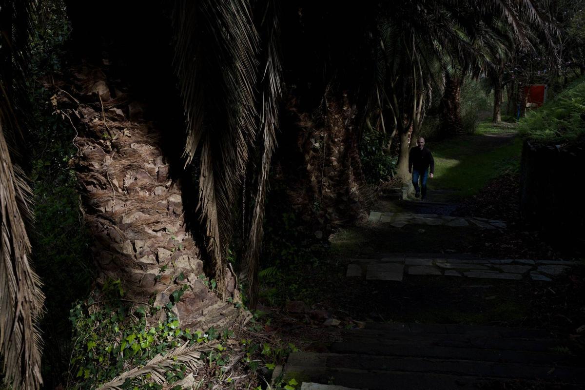 EN IMÁGENES: Así es el bosque-jardín de Luarca EN IMÁGENES: Así es el bosque-jardín de Luarca