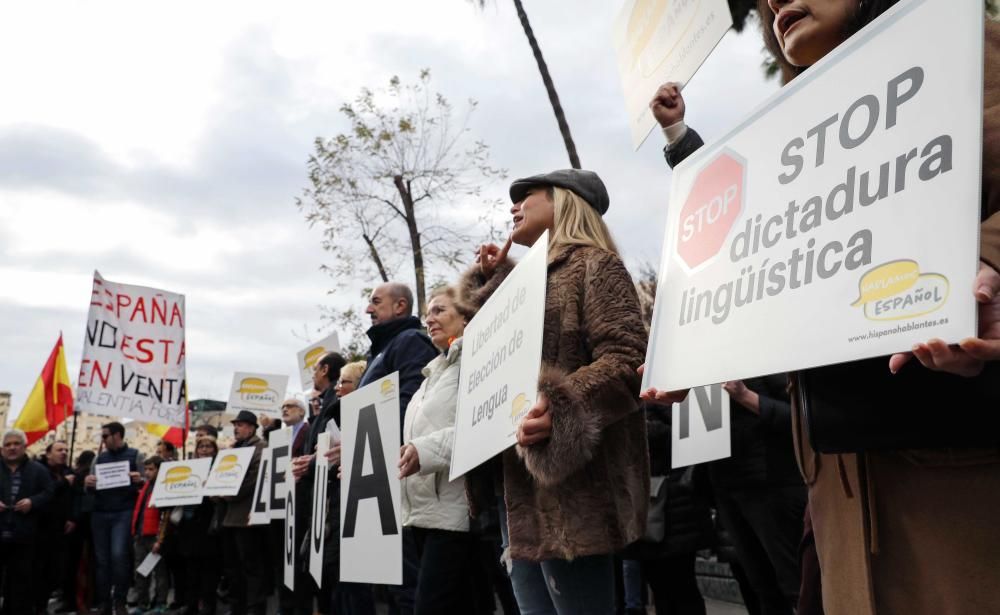 Manifestación en varias ciudades de la Comunitat Valenciana contra la Ley del Plurilingüismo