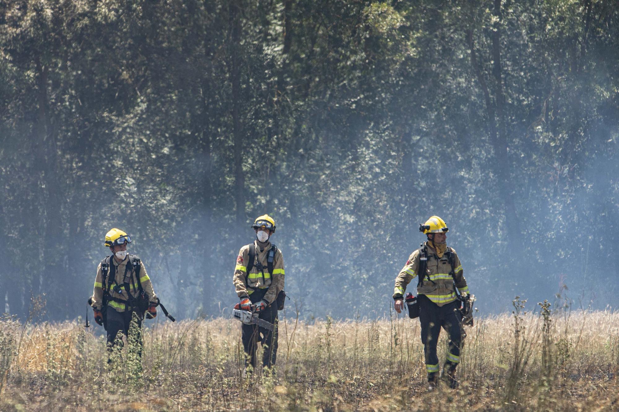 Incendi forestal a Sils, en fotos