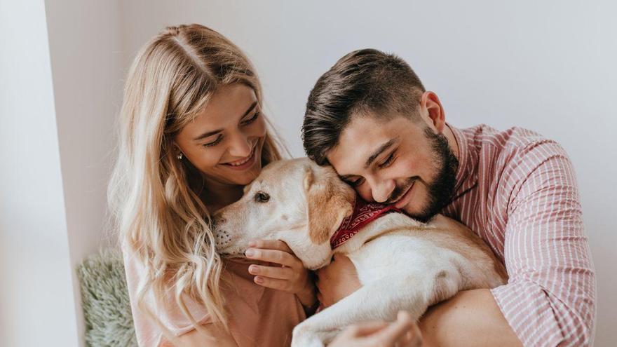 Prime Day para perros y gatos: camas, comedores, bebederos y mantas refrescante con descuentos