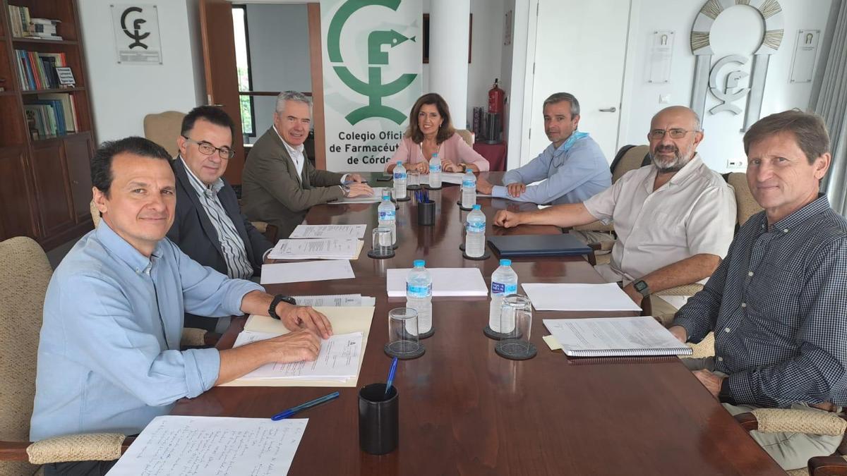 Reunión entre la Junta de Andalucía y el Colegio de Farmacéuticos.