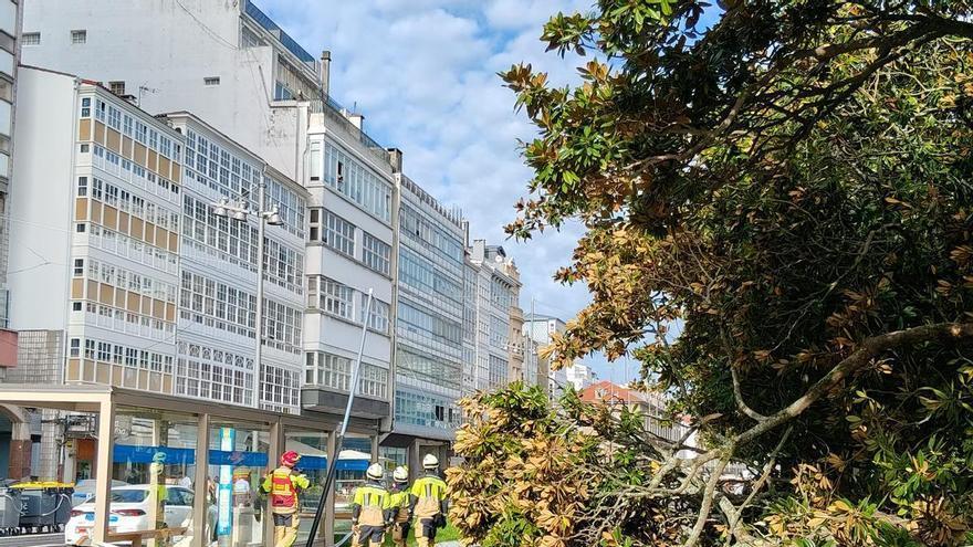 La caída de ramas de grandes dimensiones en los Jardines de A Coruña deja una lesionada leve y corta la acera delante del Copacabana