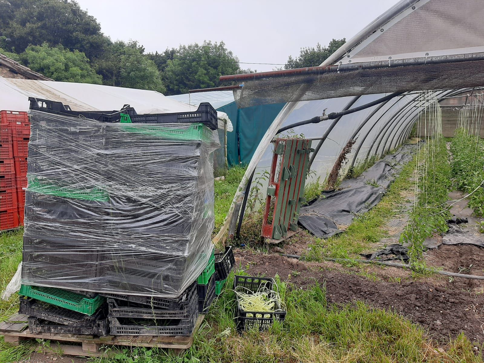 Así es Rural Ecolab, un paraíso de producción ecológica en Llanera