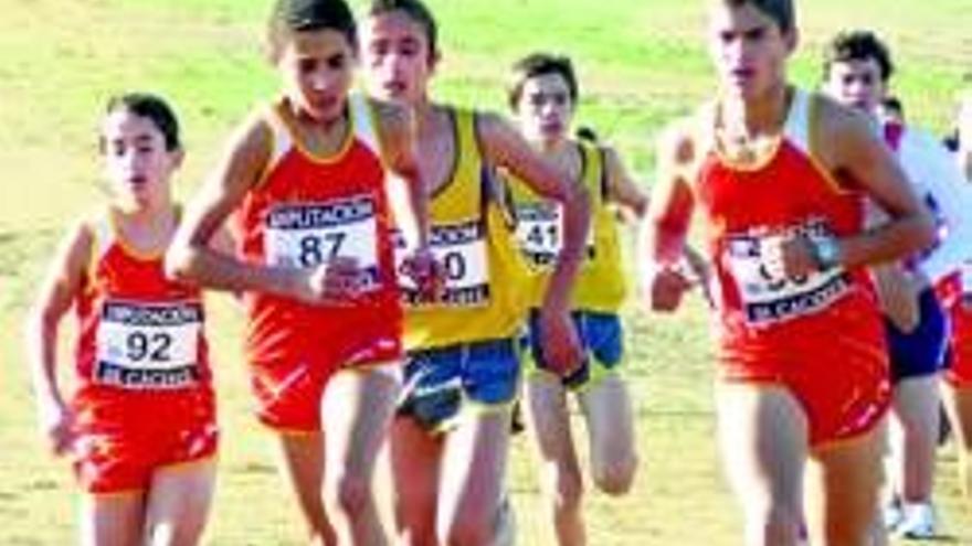 El Club Atletismo Almendralejo debuta con grandes resultados