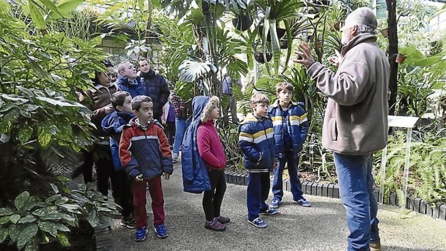 Culto al árbol en el Parque del Príncipe