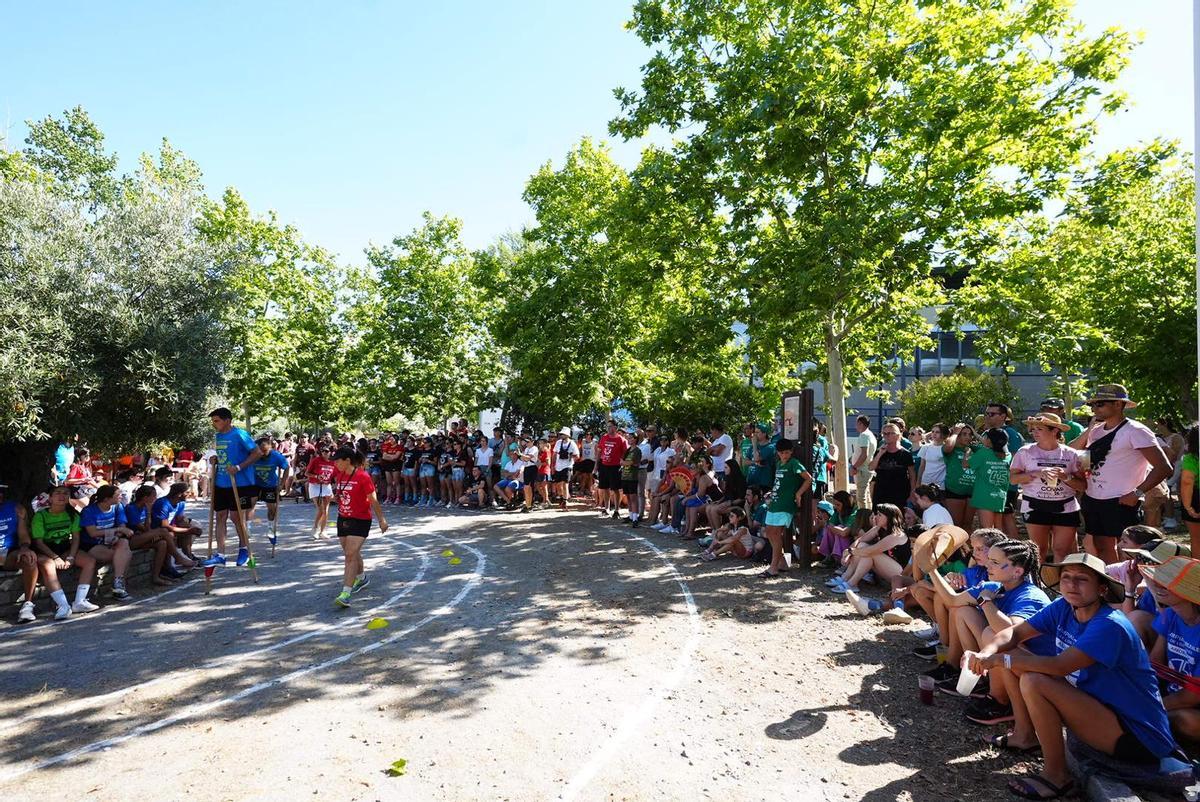 Las Olimpiadas Rurales de Los Pedroches, en imágenes