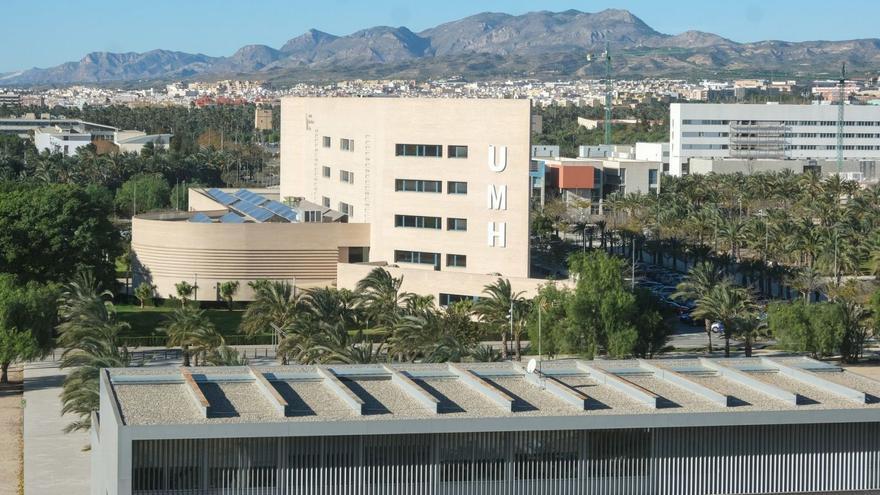 El rectorado de la UMH de Elche con el campus al fondo desde el nuevo edificio Valona.