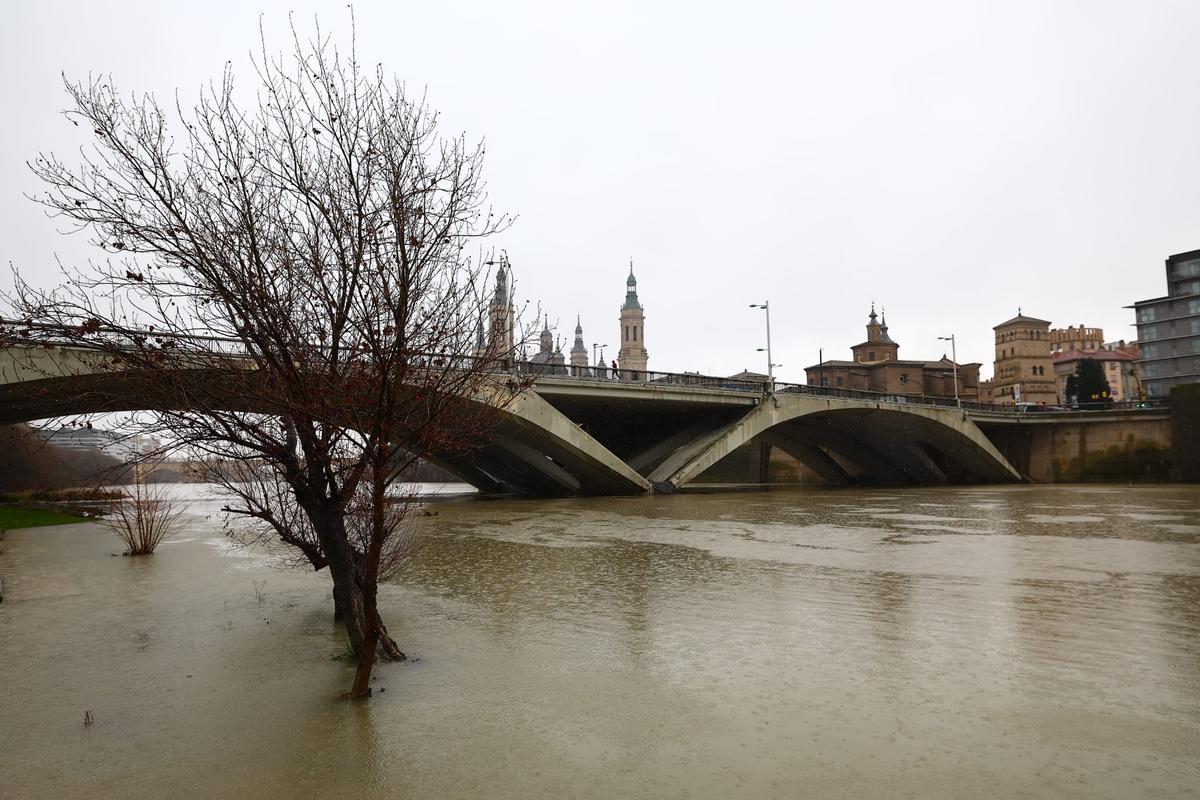 En imágenes I Así pasa el Ebro por Zaragoza tras las lluvias de los últimos días