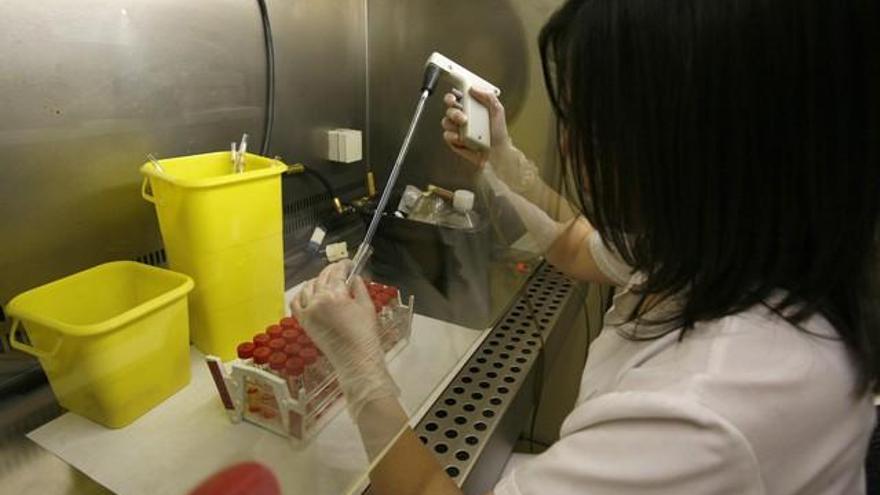 Detectado el primer caso de gripe aviar en Francia desde el 2007