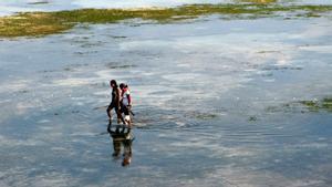 Mujeres pescando en Dili, Timor Oriental.