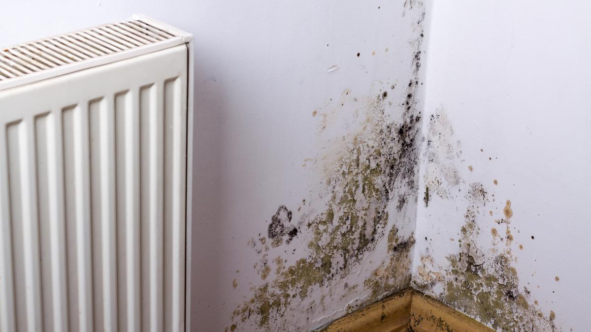Manchas de humedad en las paredes: cómo limpiarlas.