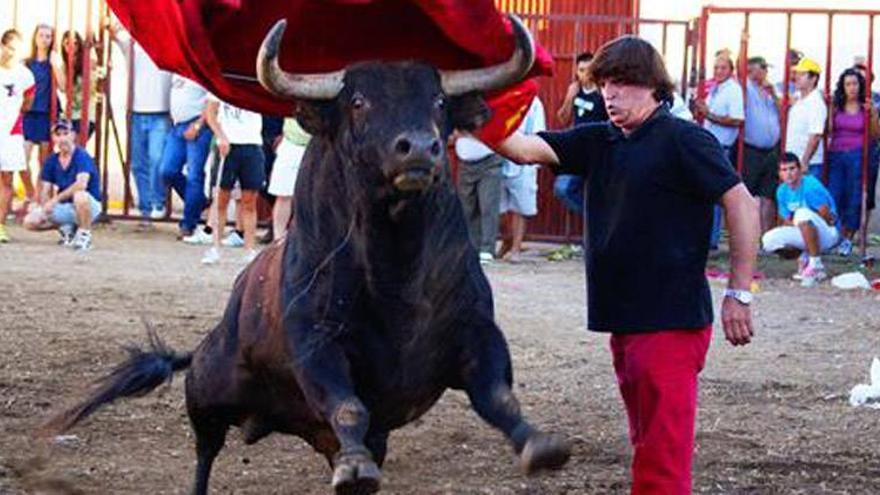 Fuera de peligro el torero herido muy grave en una capea de Fuenteguinaldo