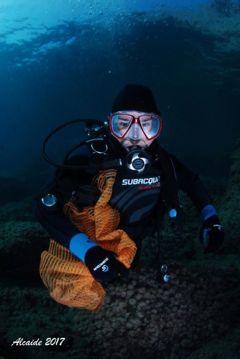 Miles de buceadores limpian de plomo el fondo marino de la Región de Murcia