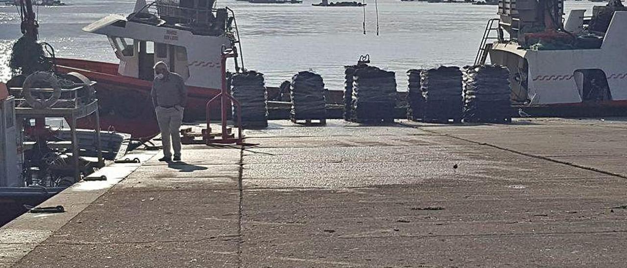 Trabajo de descarga, ayer, en el muelle de A Mosqueira.