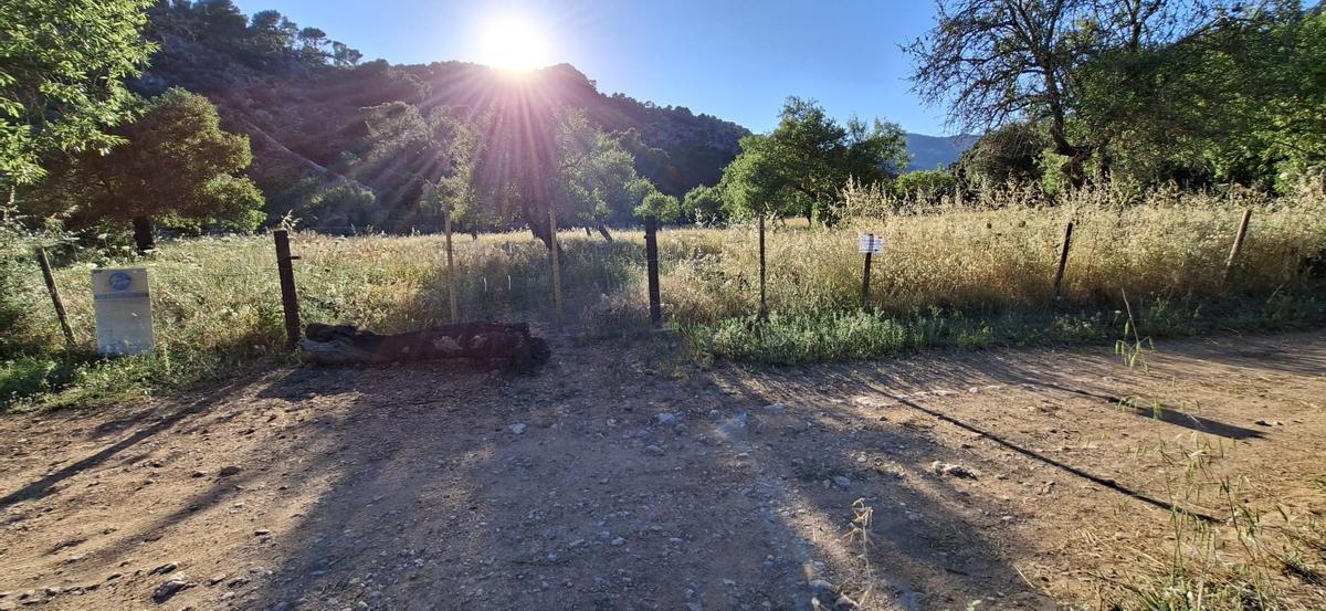 La pista forestal que cruza el valle de Raixa está abierta parcialmente.