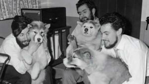 Dennis Bell (izquierda) con sus compañeros y los perros que los ayudaron a trabajar en la Antártida.