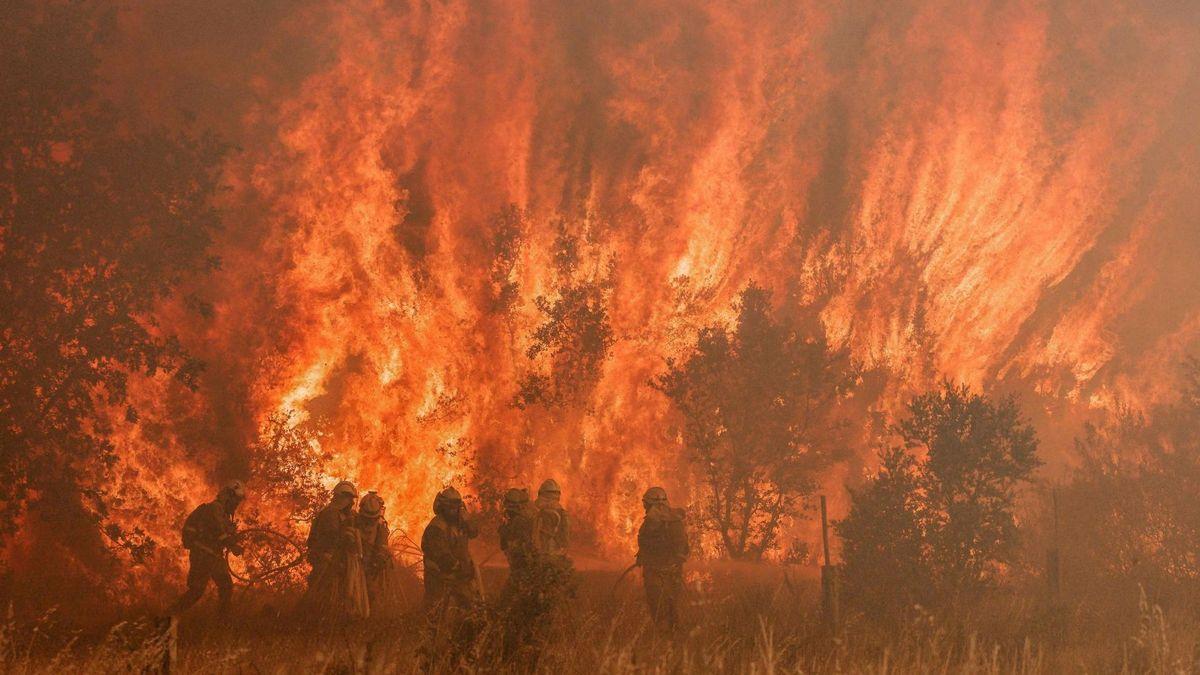 Incendio en la Sierra de la Culebra (Zamora).