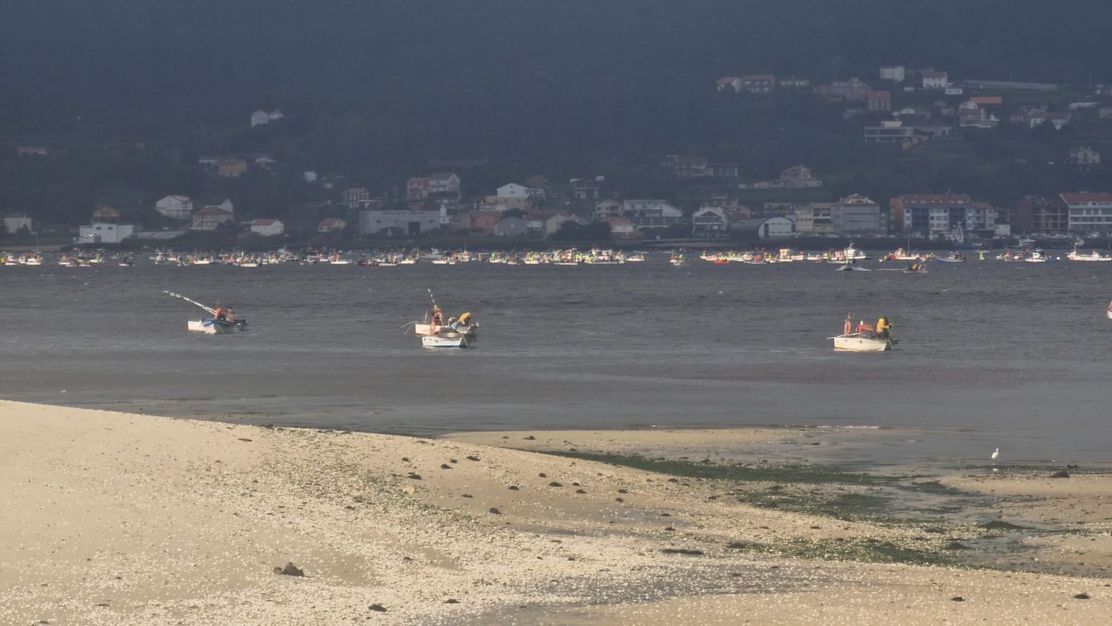 Así es el día a día en el puerto y la lonja de O Testal (Noia), donde cada vez se dan cita más mariscadores arousanos.