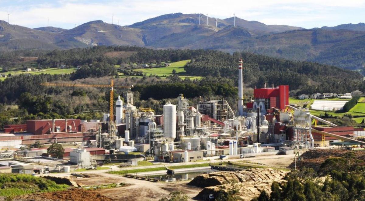 Fábrica de Ence en Navia. |