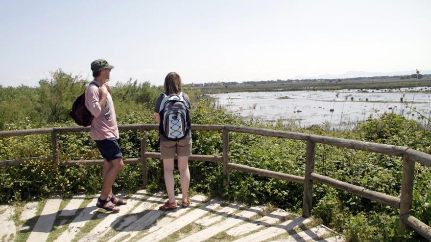 El parque natural de s&#039;Albufera presenta una grave problemática de calidad del agua.