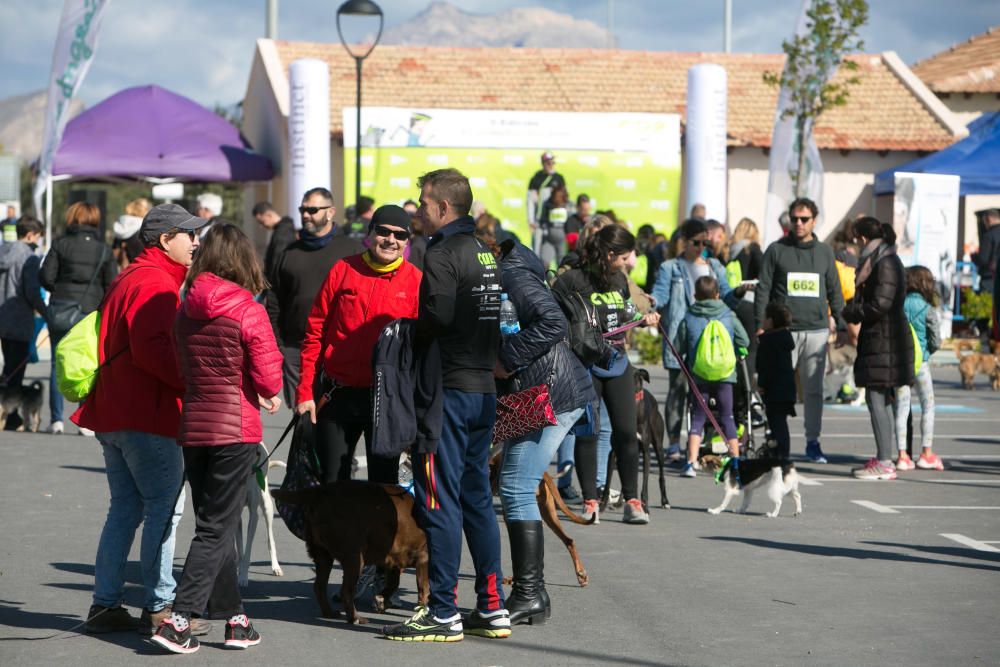 Can We Run: Gran carrera de perros para la concienciación animal