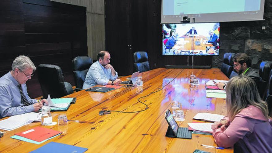 Julio Pérez, a la izquierda, con otros miembros del Consejo de Gobierno por videoconferencia en Tenerife.