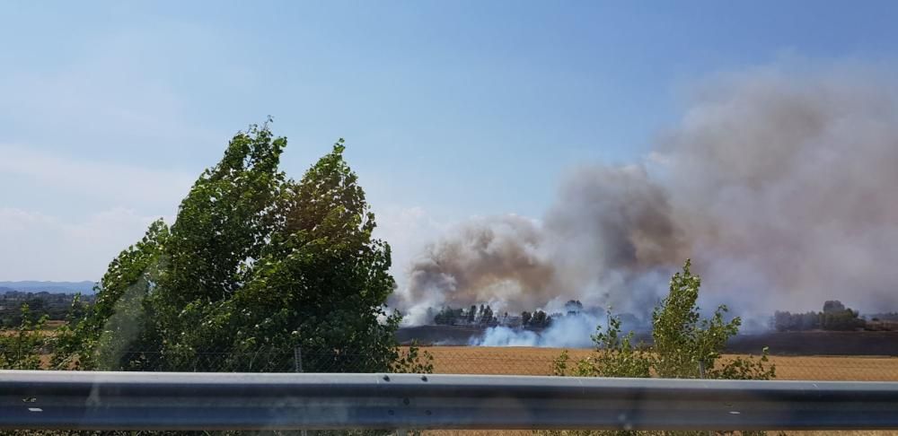 Incendi forestal a Sant Fruitós de Bages