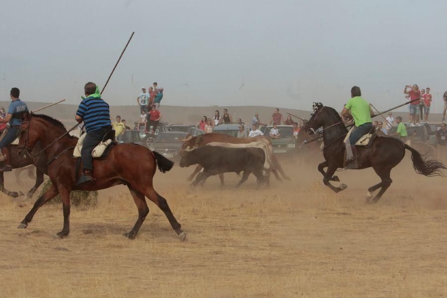 Fiestas en Zamora: Espantos en Carbajales