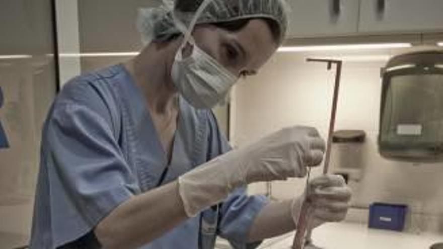 Una investigadora en un laboratorio de reproducción asistida.