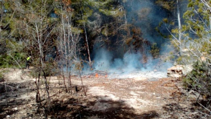 Sofocan un conato de incendio en uno de los últimos bosques de Xàbia