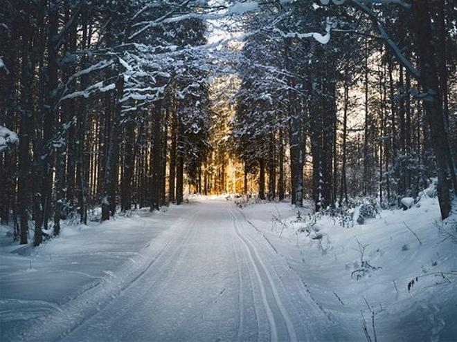 Paisaje nieve