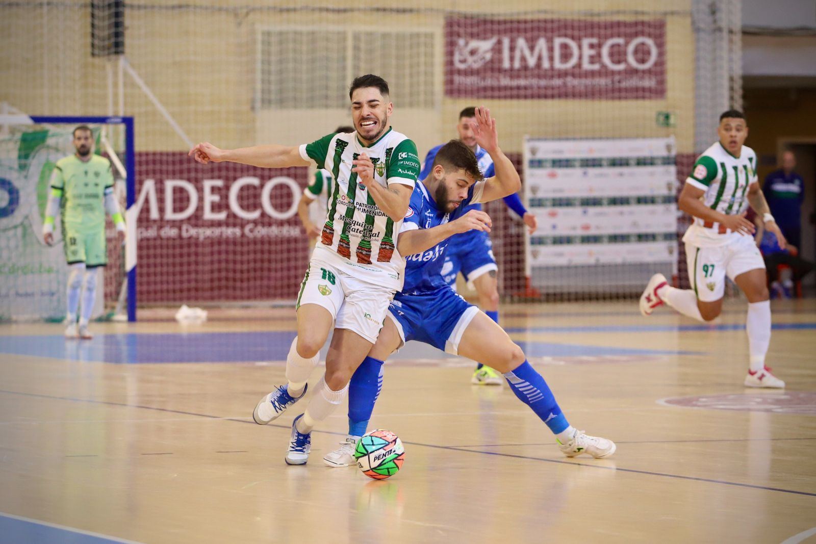 Córdoba Futsal - Manzanares : el partido en Vista Alegre en imágenes