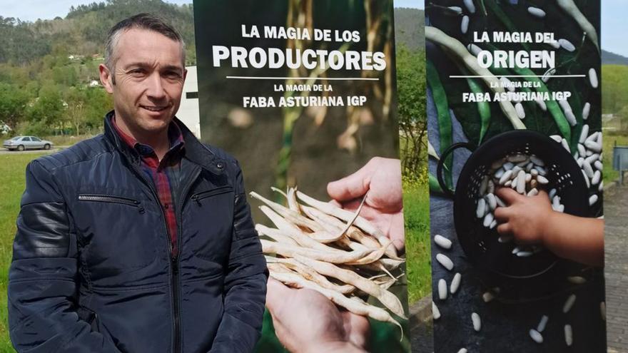 Las razones por la que la faba asturiana de IGP vive un &quot;boom&quot; de crecimiento