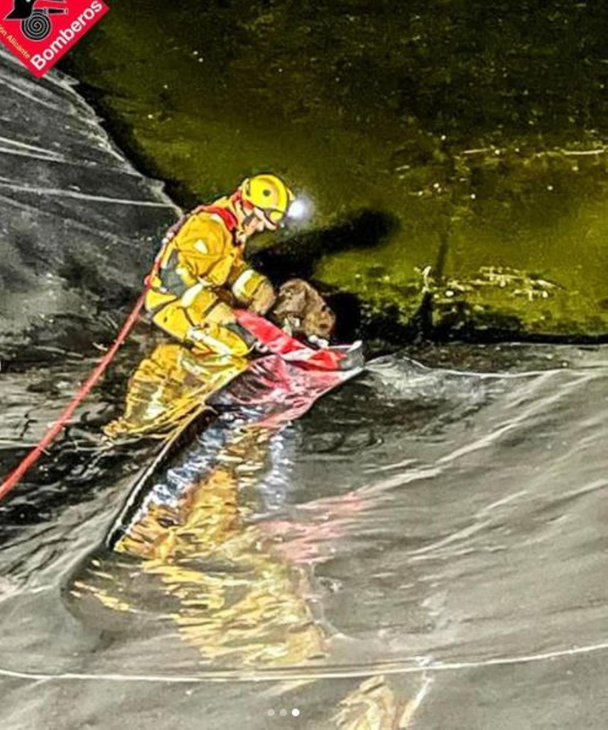 PERROS | Los bomberos salvan de morir ahogado a un perro atrapado en ...