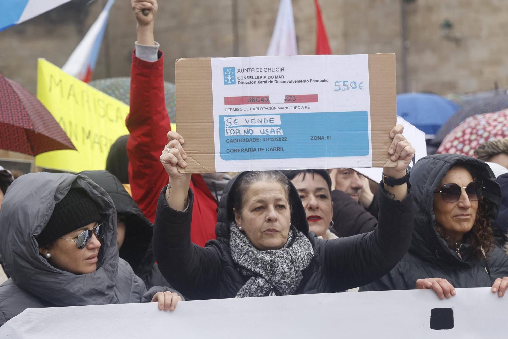 Multitudinaria manifestación en Santiago "en defensa do mar" y contra la gestión de la crisis de los pélets