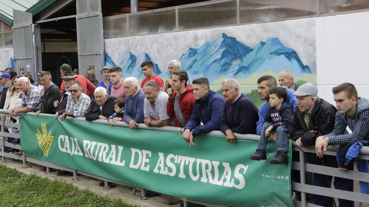 Asistentes al certamen ganadero.