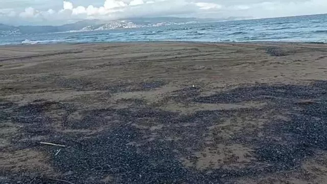 VÍDEO | Apareixen les barquetes de Sant Pere a les platges de l'Alt Empordà?