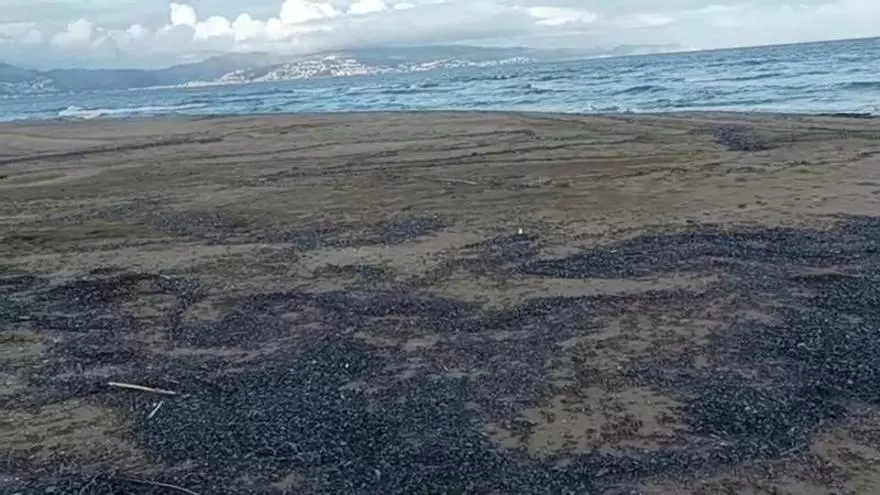 Vídeo | Apareixen barquetes de Sant Pere a les platges de l'Alt Empordà