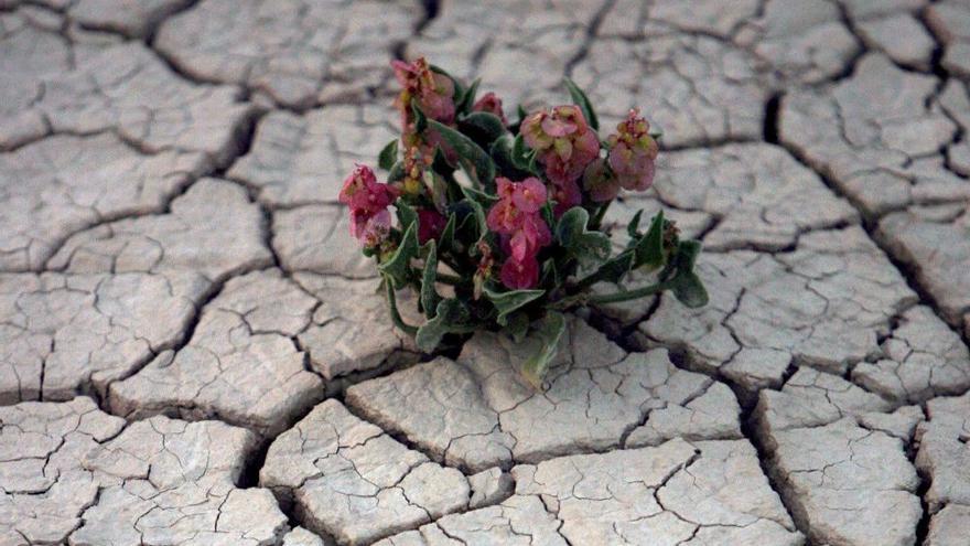 Canarias estudiará los efectos del cambio climático en islas no capitalinas para su prevención