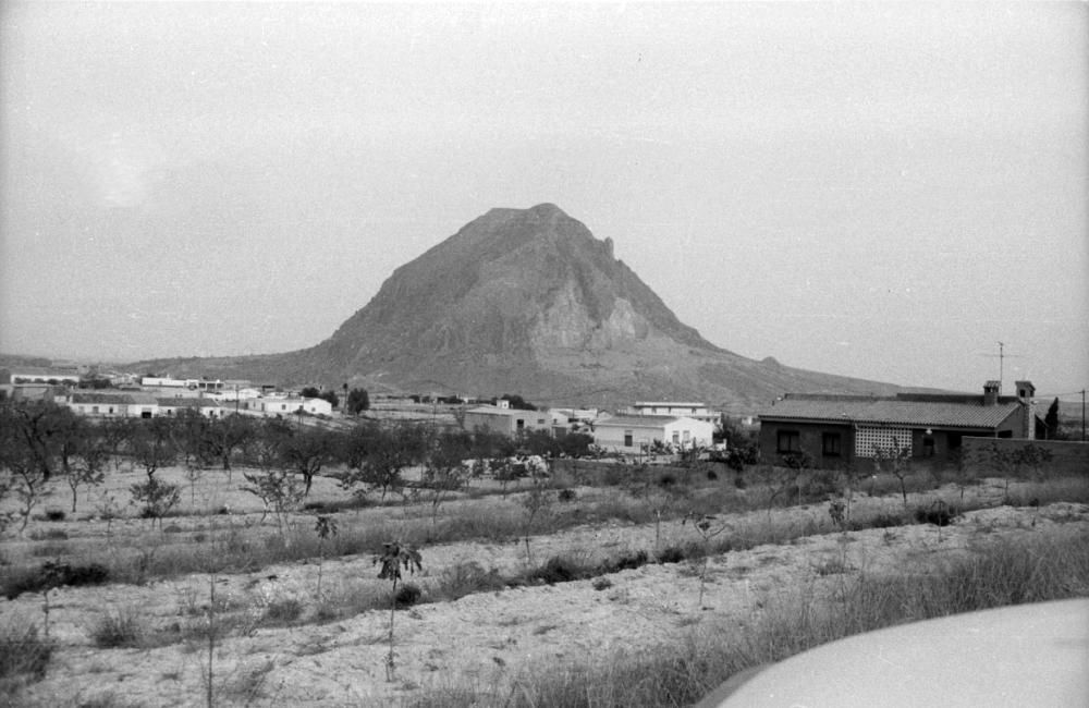 REBOLLEDO. 1981. PEDANÍA DE ALICANTE