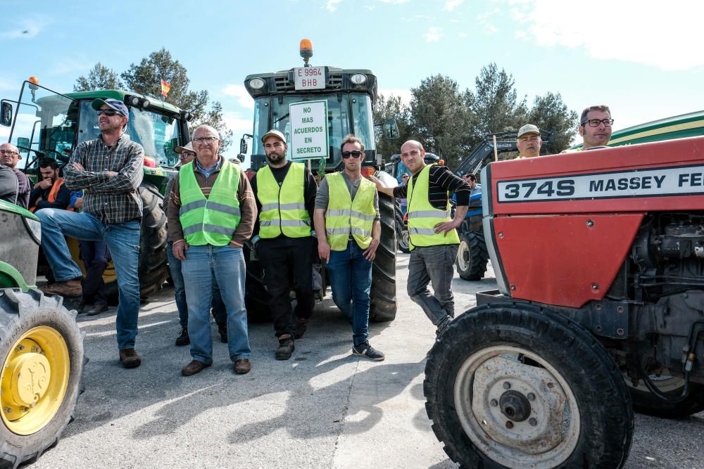 Tractorada en defensa del campo alicantino