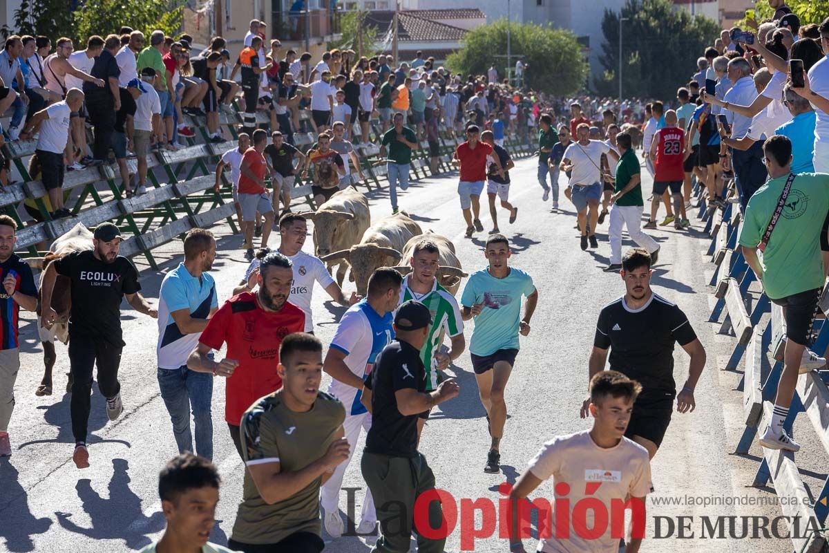 Quinto encierro de la Feria del Arroz de Calasparra