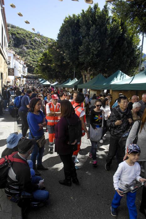 Fiestas del Almendro en Flor en Tejeda