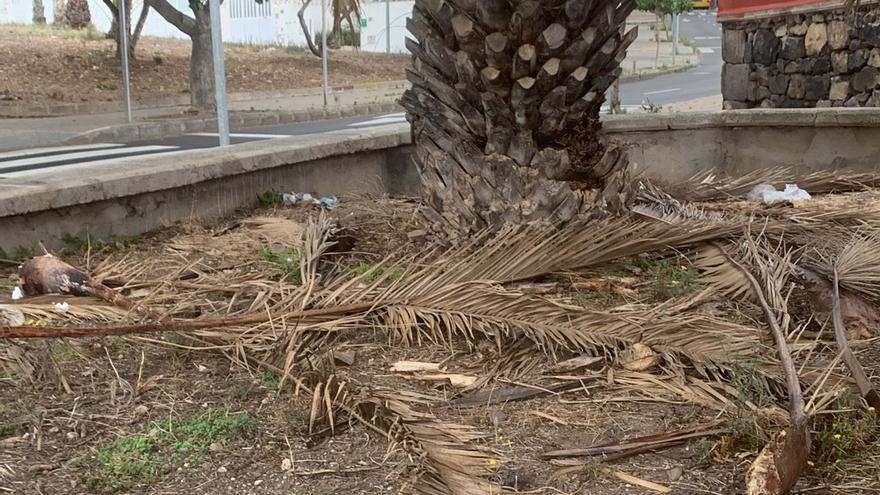 El PP denuncia que en verano se agudiza el abandono de los barrios