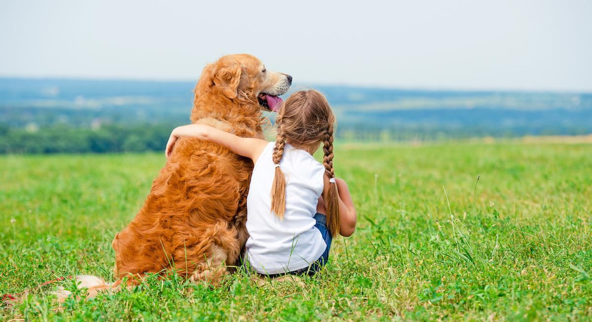 Perros que creen que son humanos: sus comportamientos típicos.